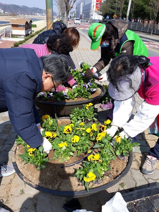 경산시 북부동에서 도민체전의 성공적 개최를 기원하며 꽃길을 조성하고 있다.