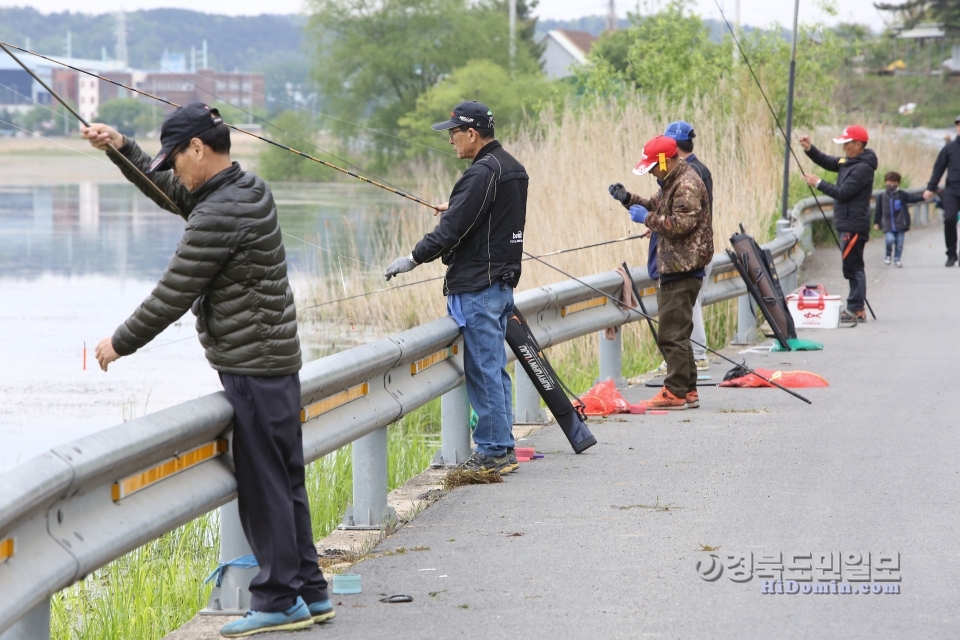 “대어야~ 물어라”2019 포항 생태계 교란 유해 외래어종 잡기대회에서 참가자들이 낚시를 하고 있다.