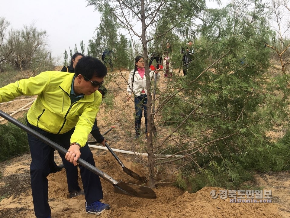 최영조 시장이 중국 인촨시에서 사막화 방지를 위한 기념식수를 하고 있다.