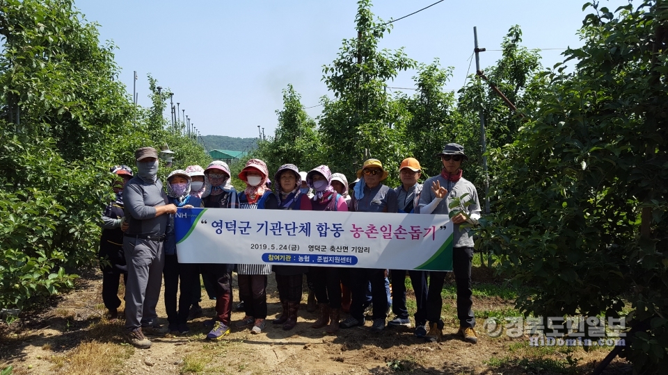 농협 영덕군지부 주관 지역 기관단체 합동 농촌일손돕기에 참여한 기관단체 임직원들 모습.