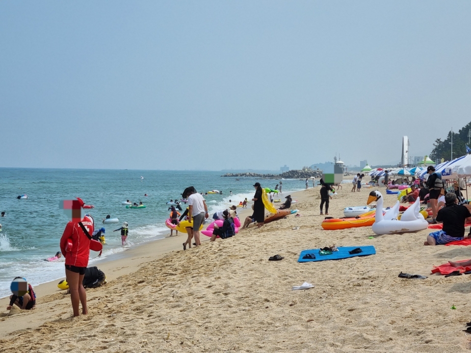피서철 극성수기가 시작된 7월 31일 강릉 경포해수욕장에서 피서객들이 물놀이를 즐기고 있다. 뉴스1