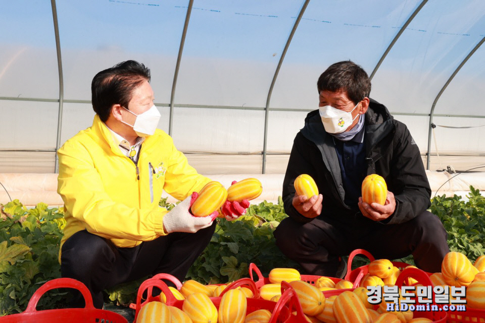 성주 이미지