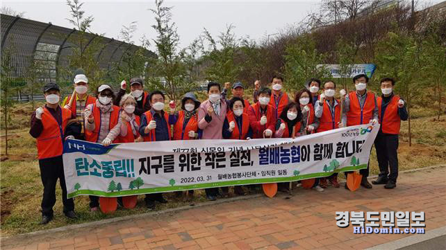 식목일_대구 이미지
