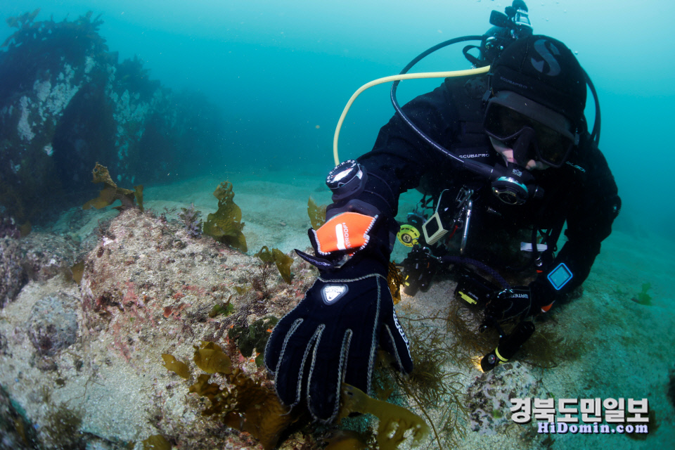 동해바다수산 이미지