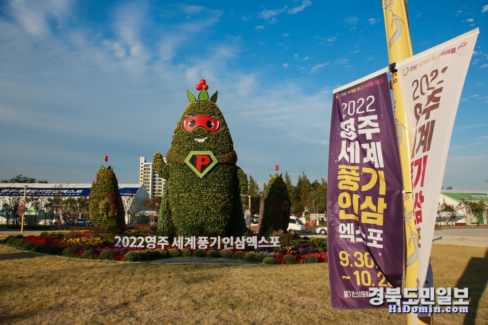 2022영주세계풍기인삼엑스포 팝업공원 풍삼이 조형물.