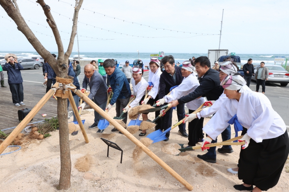 포항시가 개최한 ‘소소(笑笑)한 해녀정원 나무 심기’ 행사 모습. 사진=포항시 제공
