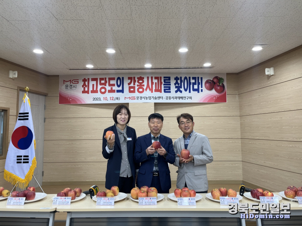 감홍 이미지