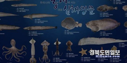 수심 이미지