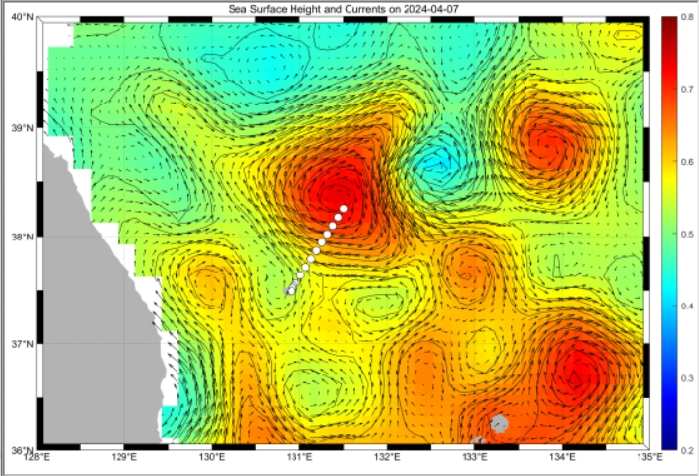 인공위성 고도계로 관측된 동해 해수면 고도자료와 표층해수흐름 분포도(2024.4.7.). 울릉도 북동쪽에 시계방향 중규모 소용돌이가 발달하였다 (하얀색은 관측지점을 나타낸다) 사진=울릉독도연구기지 제공