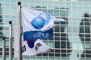 청와대가 17일 오전 김기식 금융감독원장의 사표를 수리했다고 밝혔다. 김의겸 청와대 대변인은 이날 오전 11시45분 출입기자들에게 문자메시지를 통해 “대통령이 김 원장의 사표를 이제 막 결재했다”고 전했다. 중앙선거관리위원회는 전날 김기식 금융감독원장이 19대 국회의원 임기 말 더불어민주당 ‘더좋은미래’에 5000만원을 기부한 행위에 대해 위법하다는 결론을 내렸다. 사진은 이날 서울 여의도 금융감독원 깃발이 휘날리는 모습. 2018.4.17/뉴스1