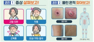 진드기 매개 감염병 발생 시 나타나는 증상과 물린 흔적. (질병청 제공)
