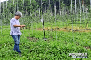 노지 시설 스마트팜 영농사업 점검