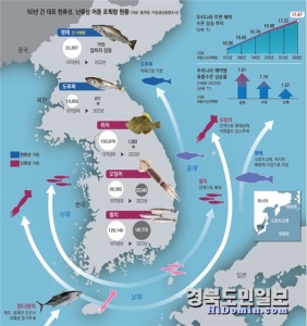 단 5가지 방법으로 독도 해양 변화 이해하기! 🐟 기후변화가 불러온 아열대 어류 급증 현상