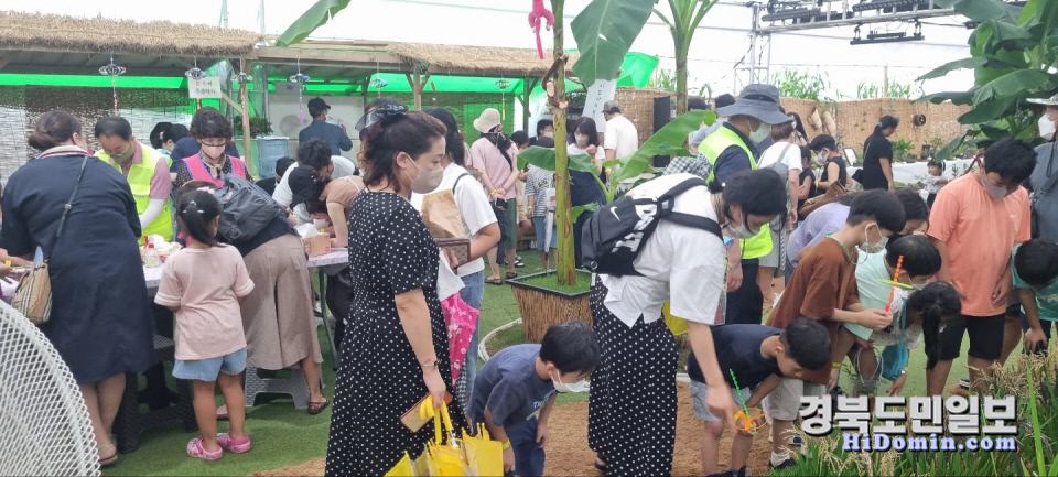 예천곤충축제 힐링정원.