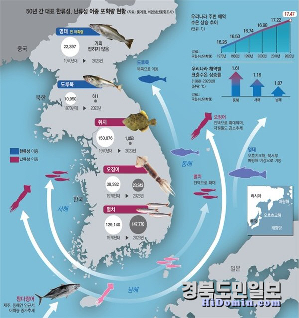 독도어장 이미지