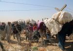 시리아의 이슬람 수니파 무장단체 이슬람국가(IS)를 피해 고향을 떠나 온, 쿠르드 난민들이 24일(현지시간) 터키의 수루크 부근 유물탈리크 국경 검문소 철조망을 넘어서고 있다. 지난 5일간 시리아의 쿠르드족 도시 코바니를 떠나 터키에 입국한 난민은 20만명을 넘어섰다. 연합