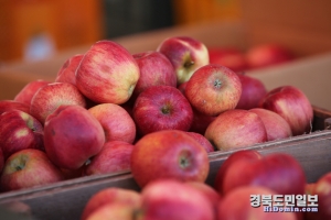 우수농축산물