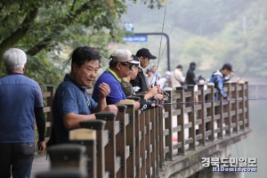 지난 17일 구미 금오지에서 열린 2022 구미생태계교란 유해외래어종잡기대회에서 참가자들이 낚시에 열중하고 있다.