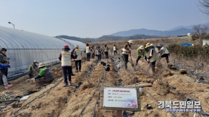 영주시 농업기술센터 소백산국립공원 철쭉 이관작업 장면.