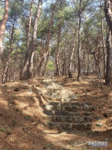 원진국사 승탑으로 오르는 산길에 놓인 돌계단. 계단의 합이 총 아흔아홉 개이다.