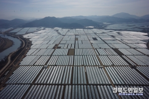 전국 최대 규모를 자랑하는 성주 참외 하우스 전경.