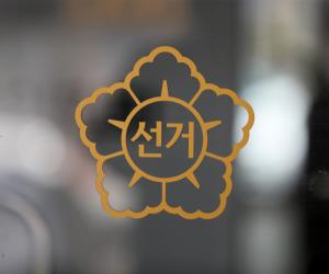 선거,예비후보, 국회의원